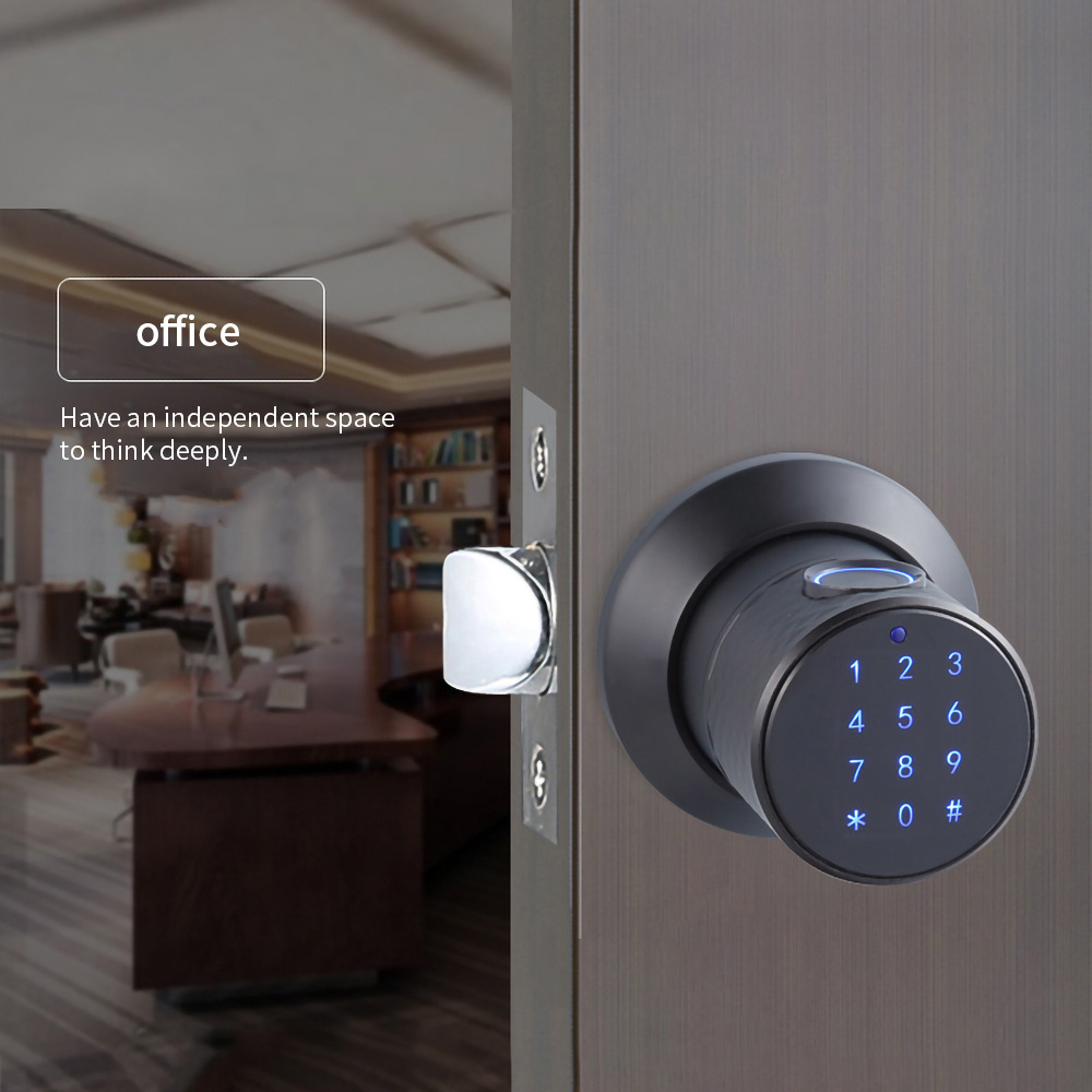 Digital Door Lock with Keypad - Electronic Door Knob for Keyless Entry