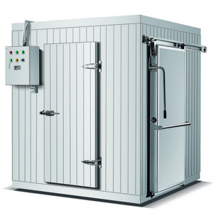 Customized 40 feet freezer containers stainless steel cold room