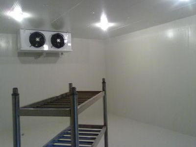 Industrial walk in freezer vegetable chiller cooler modular cold room