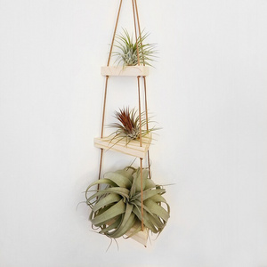 String Plant Shelves 3 Tier Hanging Shelf Triangle Plant Hanger Gift Air Plant Holder