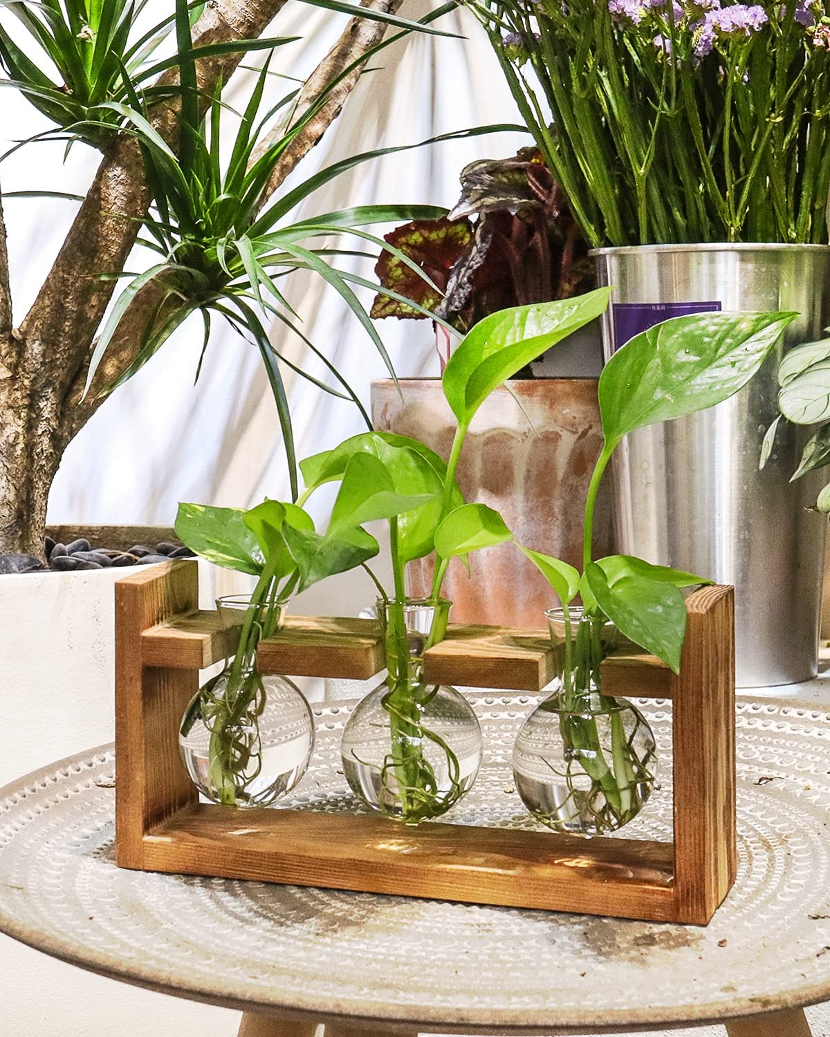 JUNJI Home Decor Plant Propagation Wood Stations Plant Terrarium with Wooden Stand Gifts for Women