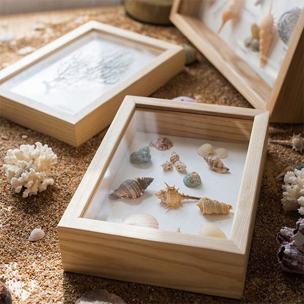 JUNJI Wooden Specimen Box Preserving Memories Avid Collector Of Seashells Or Pressed Flowers To Design Display Wall