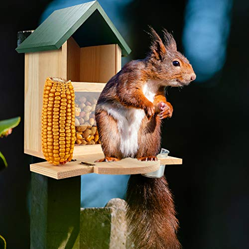 Yard Decor Wooden Squirrel Feeder Box Multi-functional Wood Squirrel Feeding House with Cup Outdoor Bench Squirrel Table