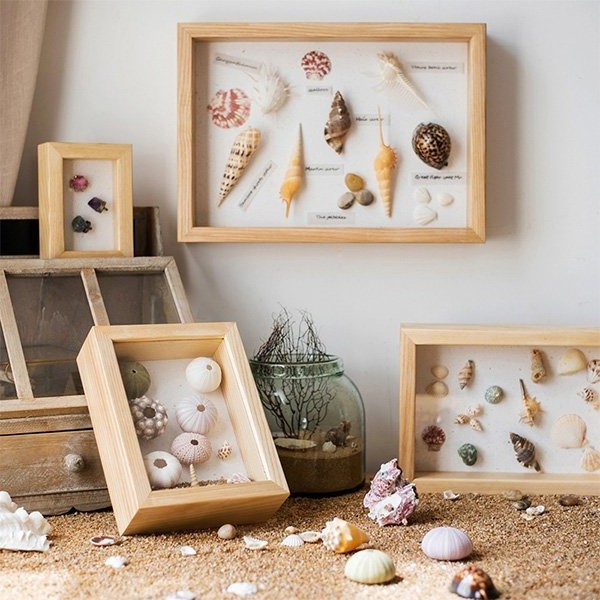 JUNJI Wooden Specimen Box Preserving Memories Avid Collector Of Seashells Or Pressed Flowers To Design Display Wall