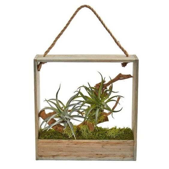 JUNJI Air Plant Artificial Succulent in Decorative Hanging Wood Frame Home Wall Hanging Decor Wood Flower Pot