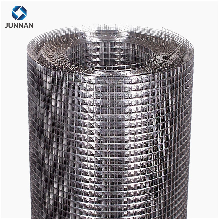 Galvanized Welded Wire Mesh for Garden Fence