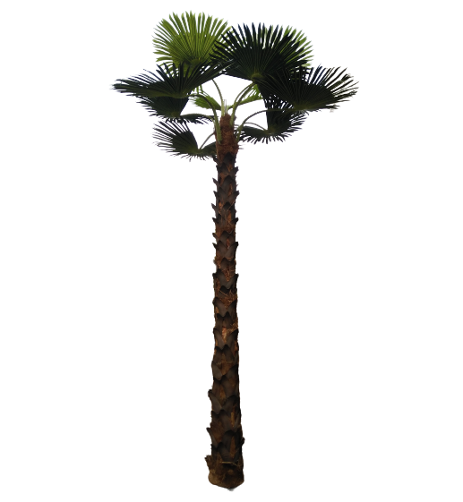 Factory new design decorative fiberglass trunk artificial washington palm tree for jungle beach