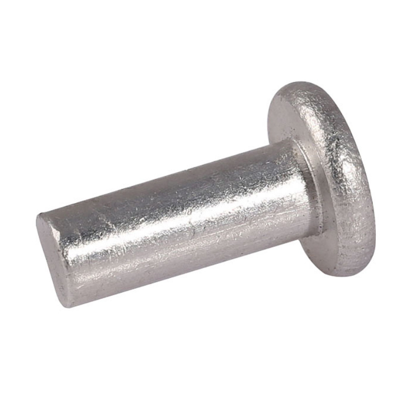 18-8 Stainless Steel ASTM AISI ANSI 304 316 316L Round Thin Mushroom CSK Flat Countersunk Head Solid Rivet DIN 660 302 7338