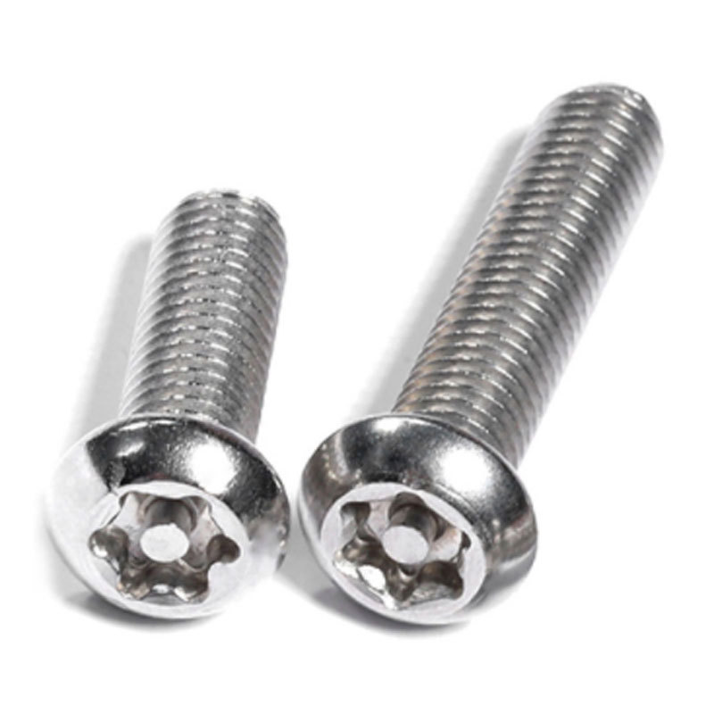 A286 18-8 Stainless Steel AISI304 316 ANSI304 316 ASTM A193 Torx Slot H Type Pan Head Anti Theft Screw Security Screw