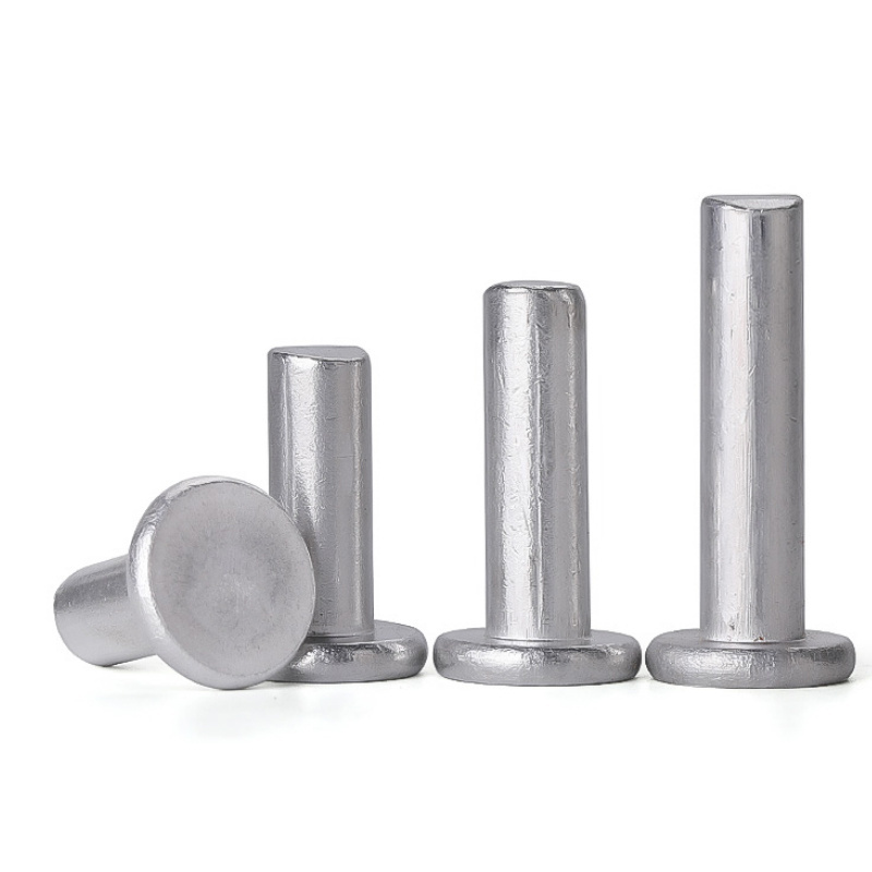 18-8 Stainless Steel INOX SS304 SS316 SS316L A2-70 A4-80 A2-80 A4-70 Flat Solid Rivet DIN 7338