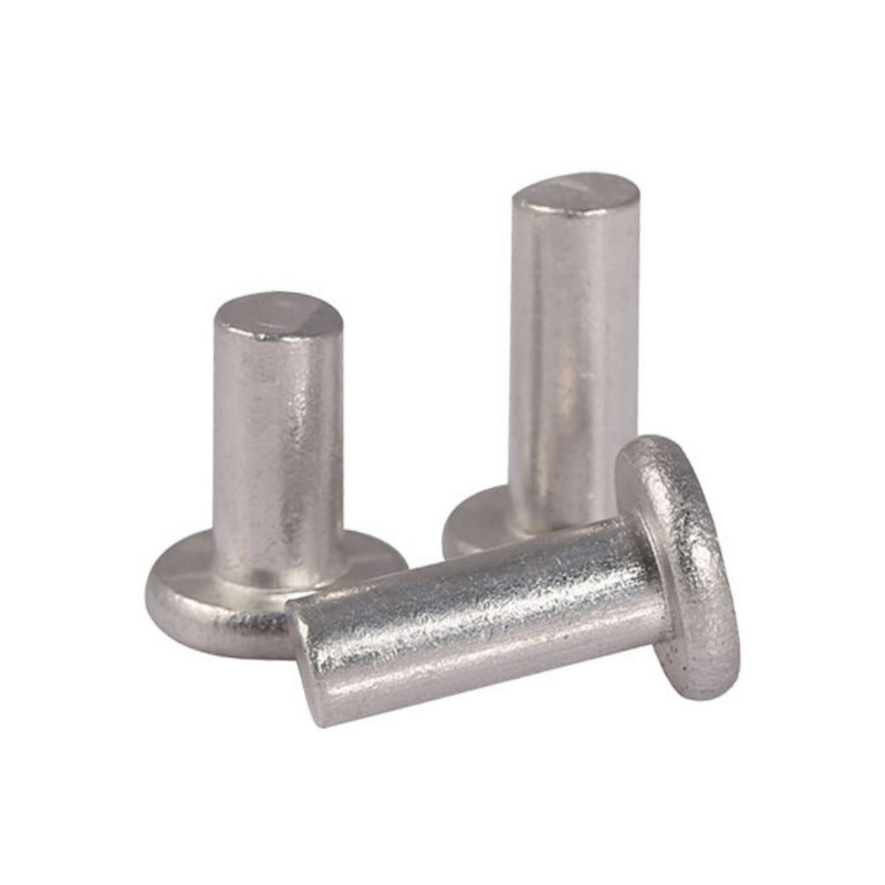 18-8 Stainless Steel ASTM AISI ANSI 304 316 316L Round Thin Mushroom CSK Flat Countersunk Head Solid Rivet DIN 660 302 7338