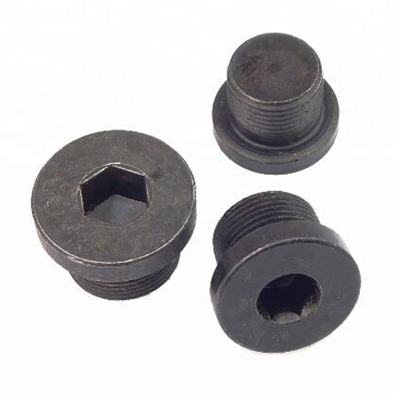 M20 M24 Steel Galvanized Hex Socket Oil Pipe Plug Screw Plug DIN908