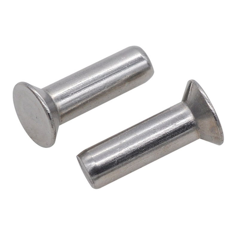 Stainless Steel INOX SS SUS 304 316 316L A2 A4 70 80 Round Thin Mushroom CSK Flat Countersunk Head Solid Rivet DIN 660 302 7338