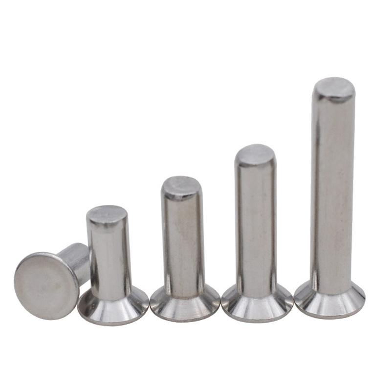 Stainless Steel INOX SS SUS 304 316 316L A2 A4 70 80 Round Thin Mushroom CSK Flat Countersunk Head Solid Rivet DIN 660 302 7338