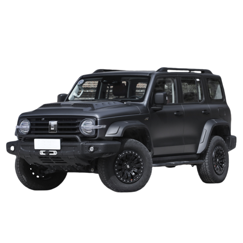 wholesale 2023 gasoline cars 2.0T 3.0T china auto suv 4x4 rc off-road car Version tank 300 car