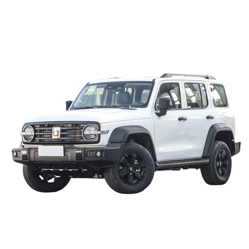 wholesale 2023 gasoline cars 2.0T 3.0T china auto suv 4x4 rc off-road car Version tank 300 car