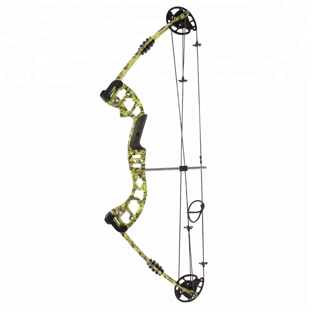 Junxing fishing compound bow with factory price China wholesale