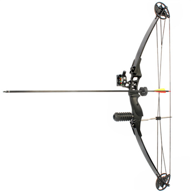 Junxing archery compound bow M183 bow and arrow  for starter hunting