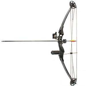 Junxing archery compound bow M183 bow and arrow  for starter hunting