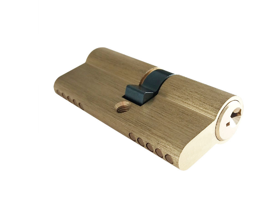 Sfic 7 and 6 Pin/ Brass /Core /Ring Keys/ The Cylinder for Use in Electronic Locks /Interchangeable/Security Doors