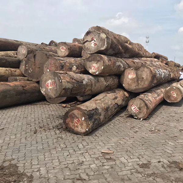 wood logs IROKO / rosewood / doussie /  IROKO logs