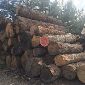 red oak wood price and white oak wood logs price