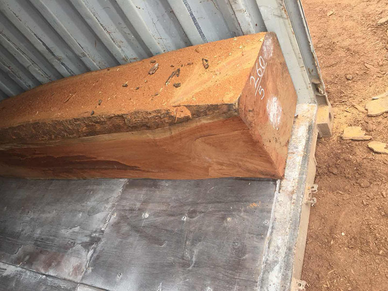 Padouk, Kevazingo, Tali, Sapelli, Okan, Azobe, Dibetou, Okoume, Ovengk Timber Type tropical african hardwood