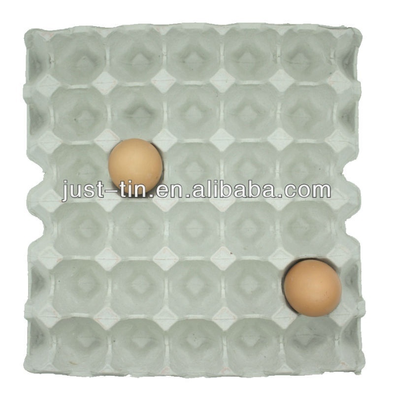 Environment-friendly Egg Tray Carton with Cover Pulp Moulding 20 Eggs Carton/Tray/Box