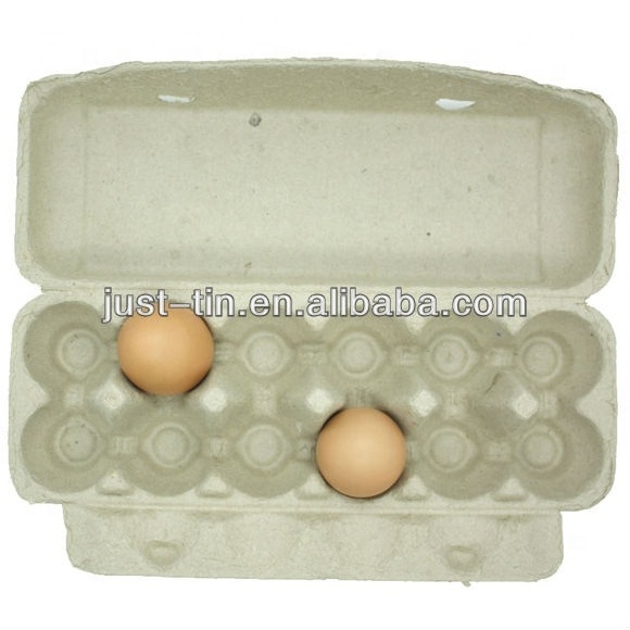 Environment-friendly Egg Tray Carton with Cover Pulp Moulding 20 Eggs Carton/Tray/Box