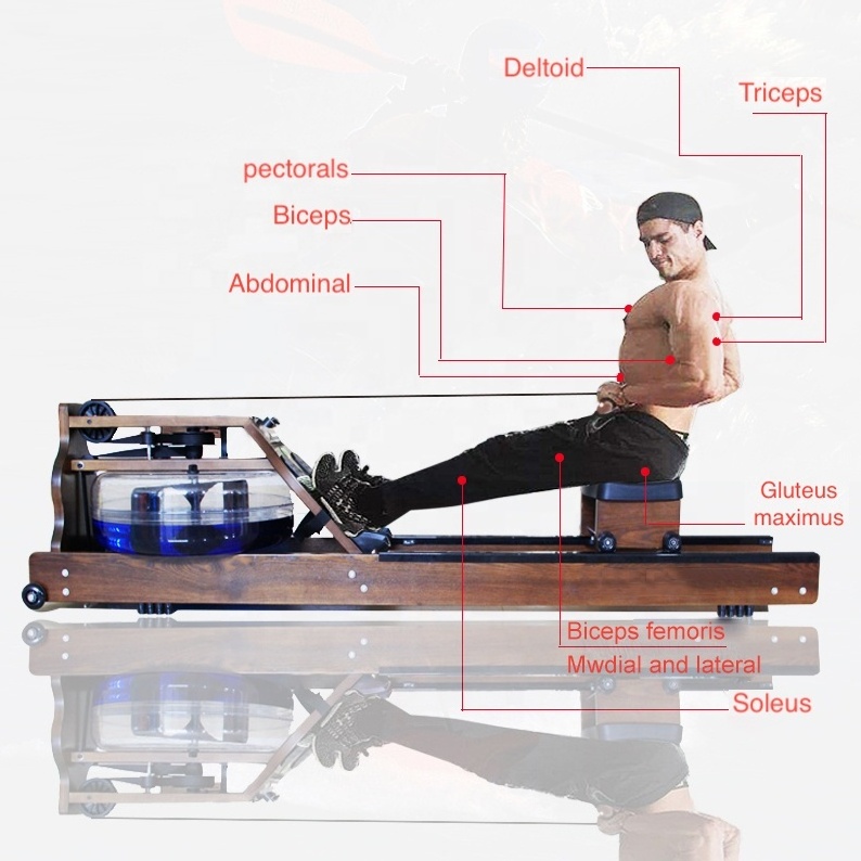 TODO Enjoy Life Seated Water Row Machine Dynamic Rowing with Display  Indoor Building Home Fitness Gym Sets