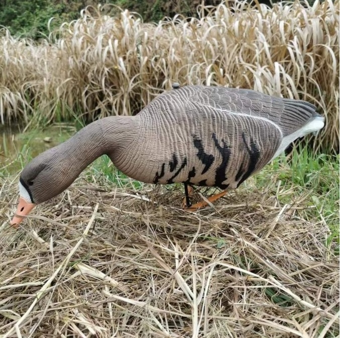 New Design EVA Plastic Grey Goose Decoys For Outdoor Goose Hunting And Decoration