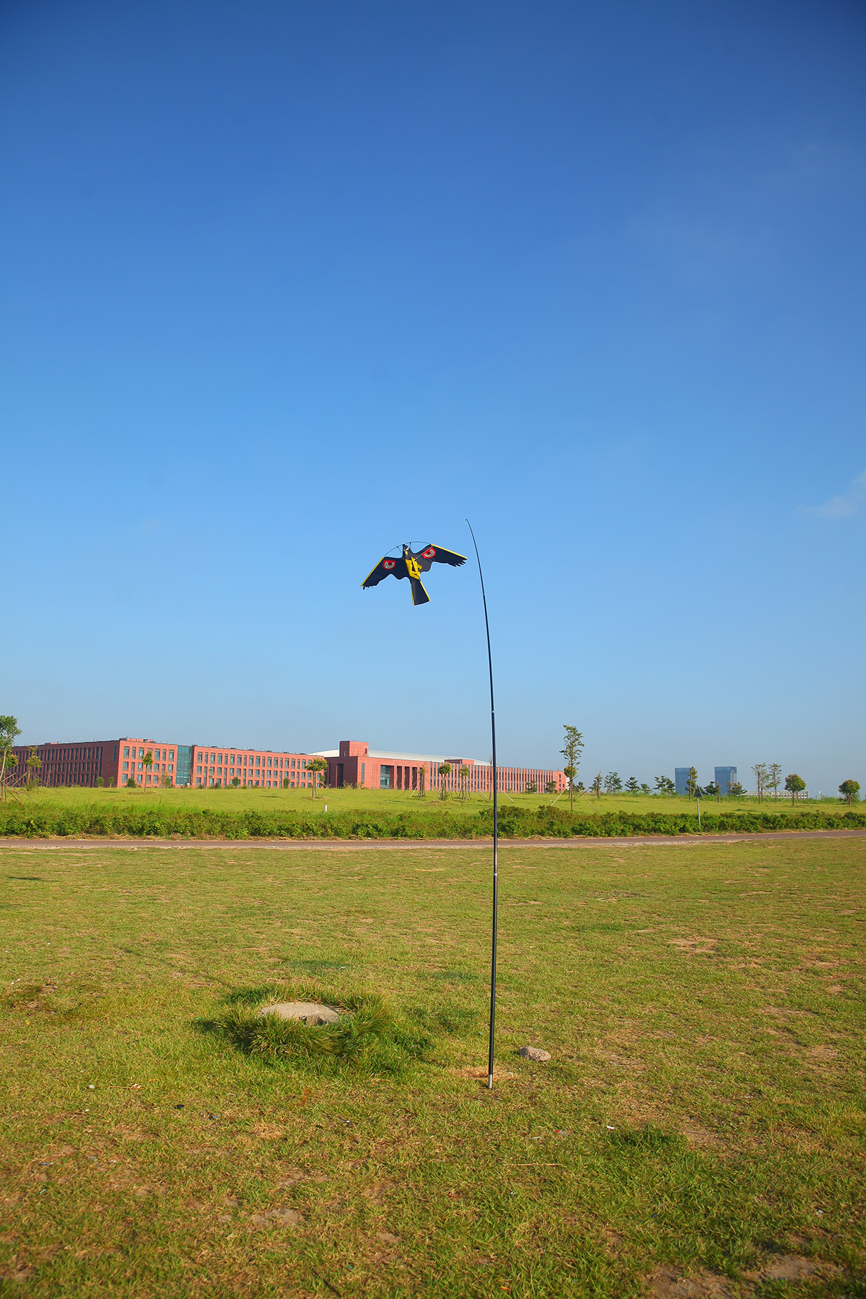 Bird Repelling Kite Bird Scarer Kite Eagle Bird Repeller Hawks Scarer Flying Repellent Kite