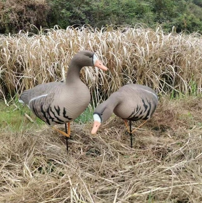 New Design EVA Plastic Grey Goose Decoys For Outdoor Goose Hunting And Decoration