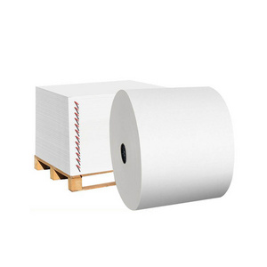 Direct Factory Price Raw Material Food Grade Single Side Pe Coated White 200gsm Paper Roll For Paper Cups