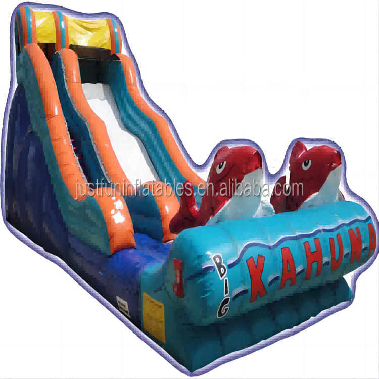 cheap inflatable fish slide for kids, big kahuna inflatable water slide