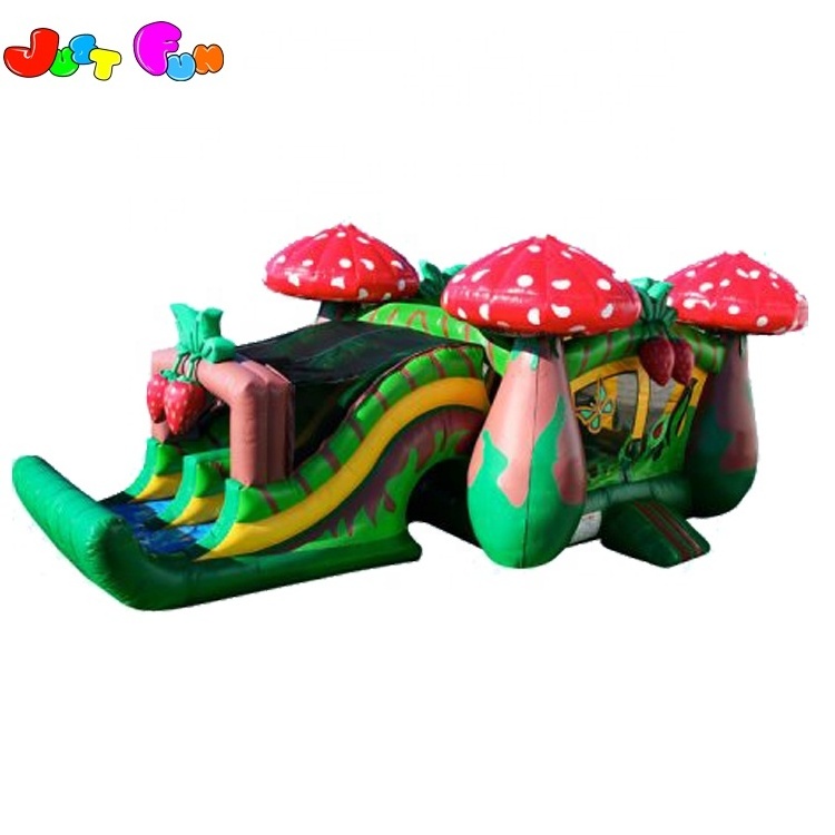 dual lanes inflatable strawberry bounce house slide combo