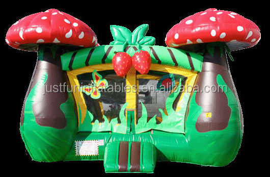 dual lanes inflatable strawberry bounce house slide combo