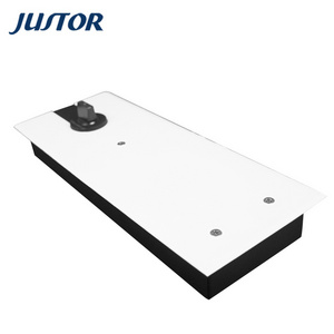 Hotel/Office Building  Entrance Gate Glass Door Double Cylinder 120KG Iron Casting Floor Spring Door Hinge