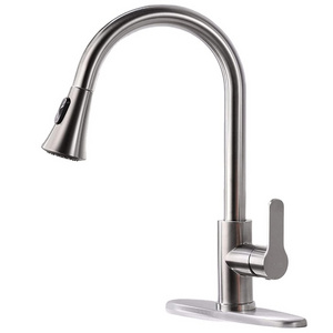 jutye Kitchen Sink Faucet Single Handle Stainless Steel 1.8 GPM  Kitchen Faucet with Pull Down Sprayer