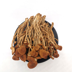 Factory Supply Wholesale High Quality  Organic Greenhouse Dehydrated Shiitake China  Tea tree Mushroom Dried Mushroom