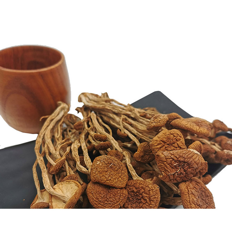 Chinese Factories Mushrooms Chinese Factories Mushrooms Tea Tree Mushroom