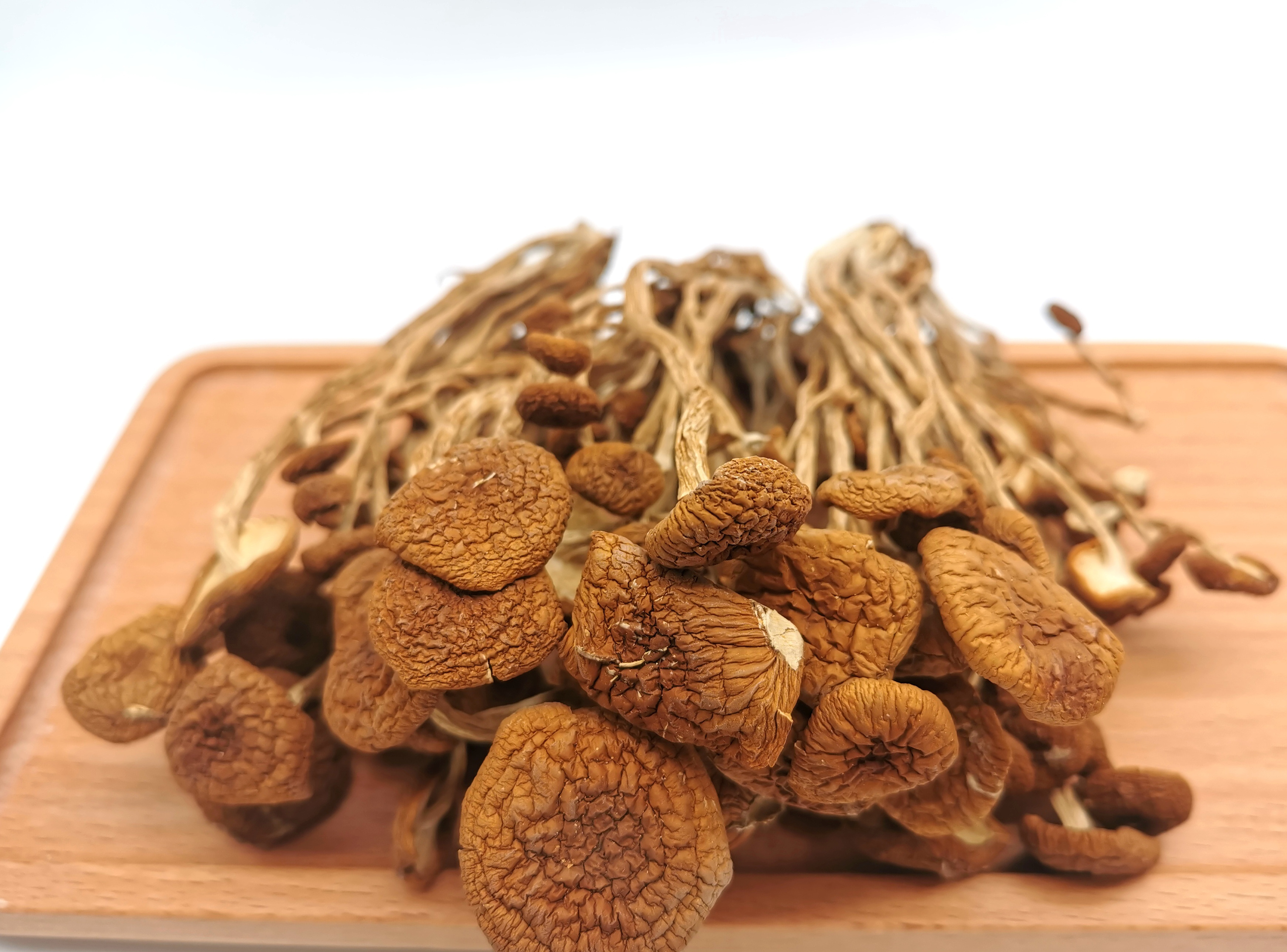 Factory Supply Wholesale High Quality  Organic Greenhouse Dehydrated Shiitake China  Tea tree Mushroom Dried Mushroom