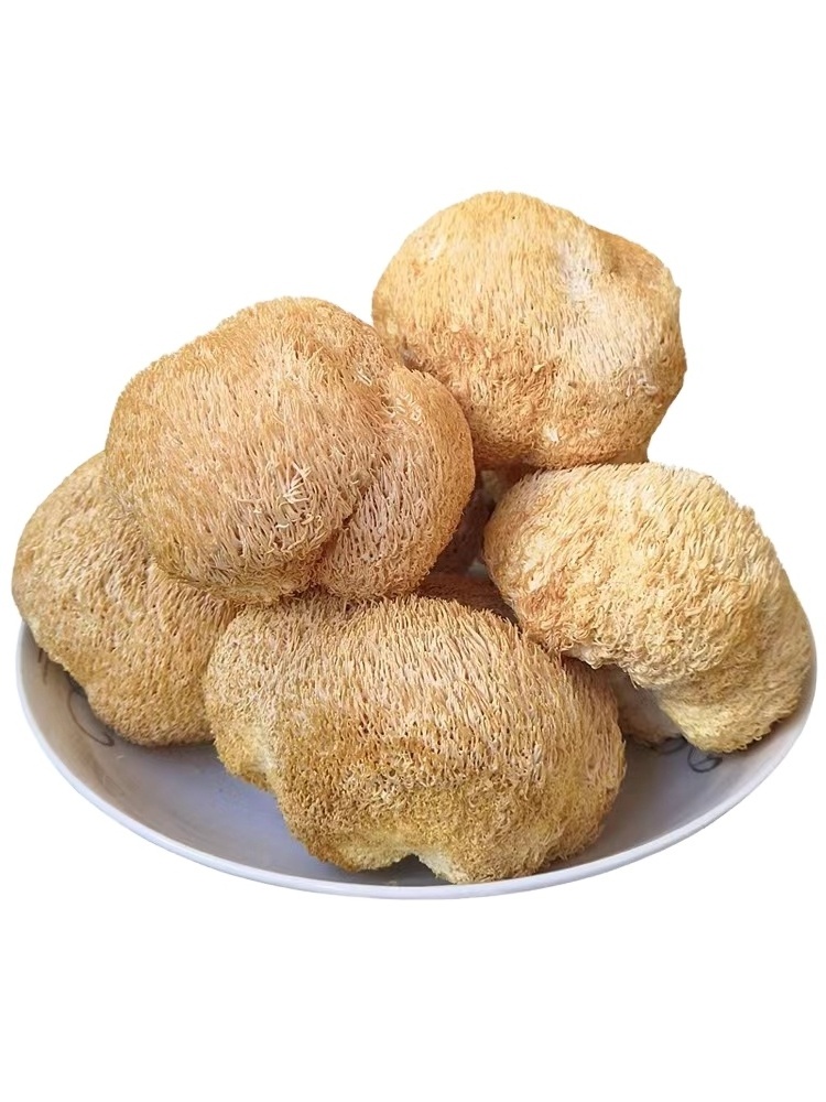 High Quality Bulk Dried Lions Mane Mushroom Hericuim Erinaceus Mushroom