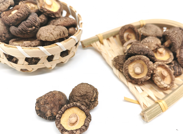 High Quality Dried Shiitake Mushroom Factory Iso9001 Qualified Low Price Dried Shiitake Mushroom