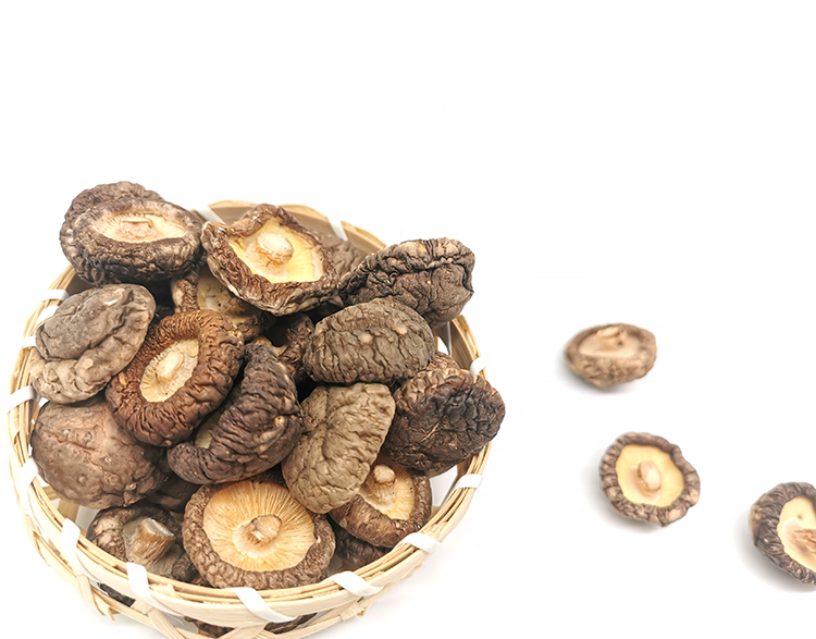 High Quality Dried Shiitake Mushroom Factory Iso9001 Qualified Low Price Dried Shiitake Mushroom