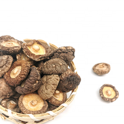 High Quality Dried Shiitake Mushroom Factory Iso9001 Qualified Low Price Dried Shiitake Mushroom