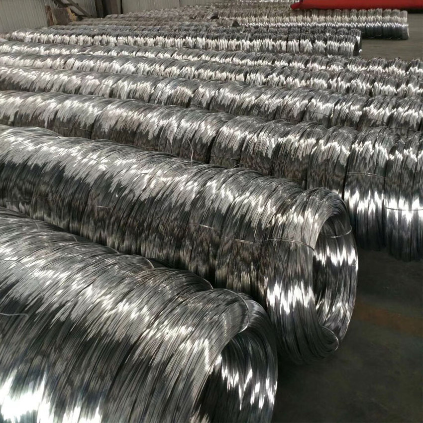 Ms Wire Rod 5.5mm 6.5mm! SAE 1006 SAE 1008 Low Carbon Hot Rolled Steel Ms Wire Rod Price in Coils