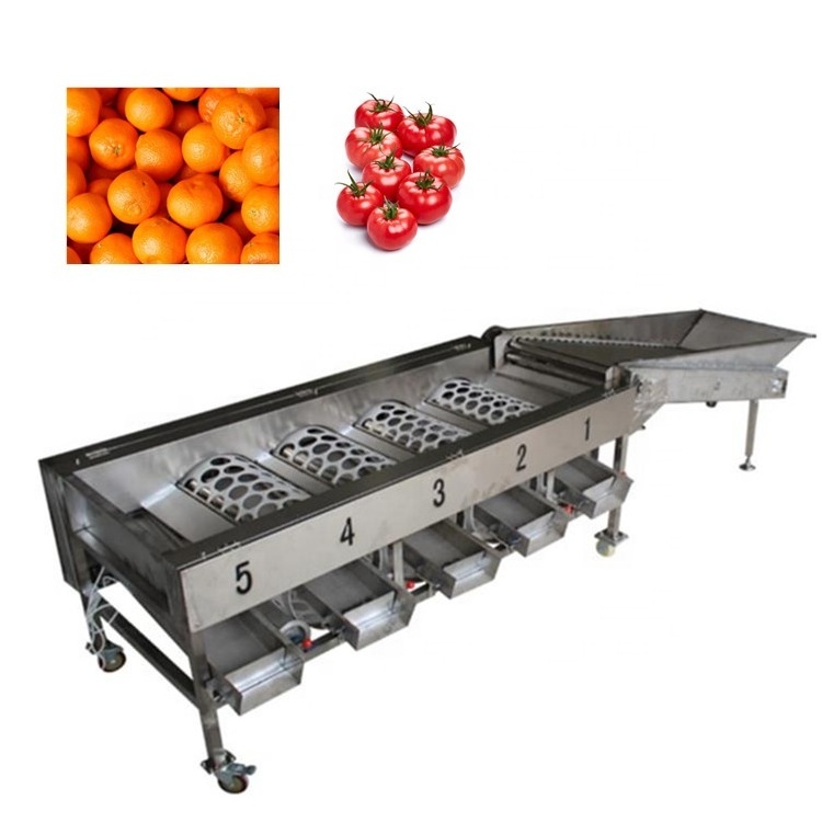 1000kg/h Automatic tomato and potato vegetable grading Production Line fruit apple onion peach sorting machine