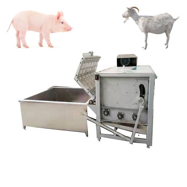 Good Quality Pig Scalding Tank Machine For Pork Slaughtering Procedure Equipment