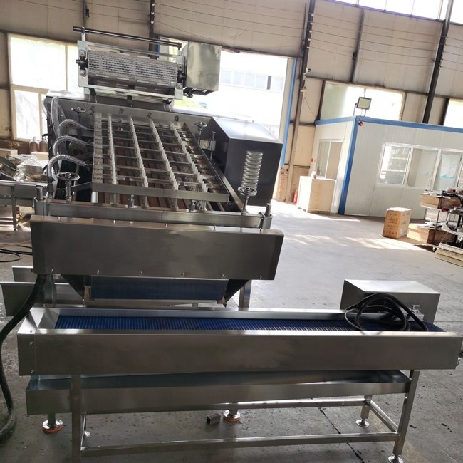 JUYOU Dried Shrimp Shell Separated Machine Prawn Processing Machinery Prawn Peeling Machine